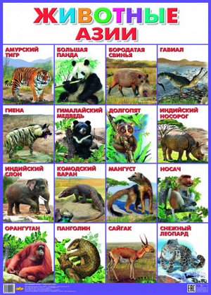 Плакат. Животные Азии