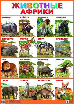 Плакат. Животные Африки