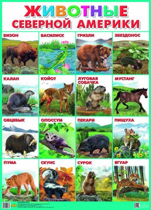 Плакат. Животные Северной Америки