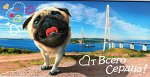 Конверт для денег &quot;От всего сердца!&quot;