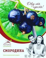 Смородина чёрная 1/5 (5*1кг пакет) ТМ&quot;Лосторос&quot;