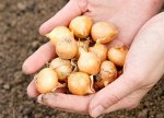 Информационная продукция