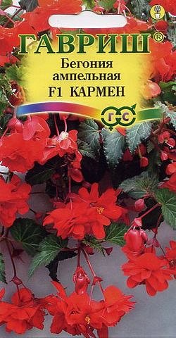 Бегония Кармен F1 клубневая, амп. гранул. 5 шт. пробирка