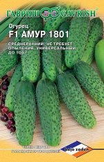 Огурец Амур 1801 F1 5 шт. (Голландия)