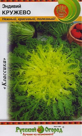 Салат листовой Эндивий Кружево (0,5г)