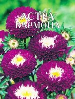 Астра однолетняя Кармона 0,2г