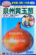 Лук