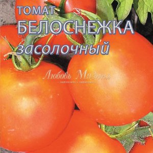 Томат Сорт "Белоснежка засолочный" (средний, для засолки)