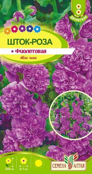 Цветы Шток-роза Фиолетовая/Сем Алт/цп 0,1 гр.