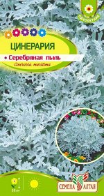 Цветы Цинерария Серебряная Пыль/Сем Алт/цп 0,1 гр.