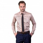 MODERN FIT