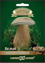 Белый гриб Дубовый на зерновом субстрате, больш. пак. 15 мл