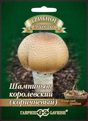 Грибы Мицелий Шампиньон Королевский (коричневый) на зерновом субстрате /Гавриш/ 15 мл