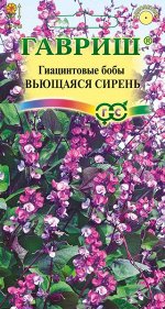 Гиацинтовые бобы Вьющаяся сирень 4 шт.
