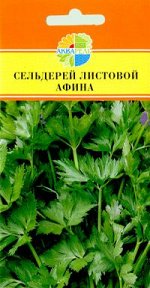 СЕЛЬДЕРЕЙ
