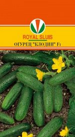 5 заказов