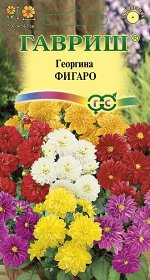 Георгина Фигаро 0,3г Н9
