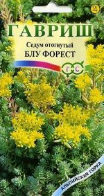 Очиток Блу Форест (отогнутый) * 0,01 г серия Альпийская горка