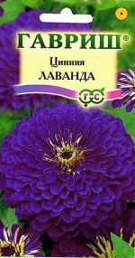 Цинния Лаванда 0,5 г серия Лавандовые грёзы