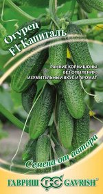Огурец Капитал F1 10 шт, автор. Н14