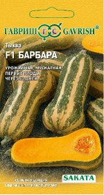 Тыква Барбара F1, мускатная 5 шт.(Саката)