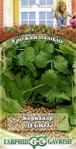 Кориандр Дебют 2,0 г сер. Урожай на окне