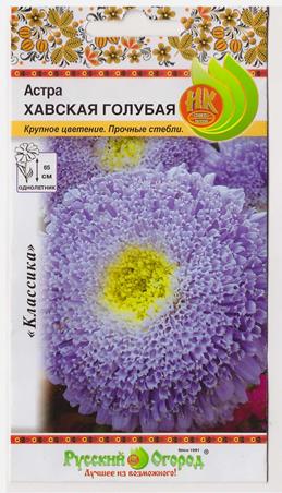 Астра Хавская голубая (Код: 5281)