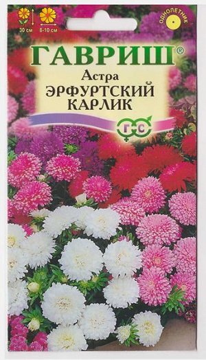 Астра Эрфутский карлик Смесь (Код: 9027)