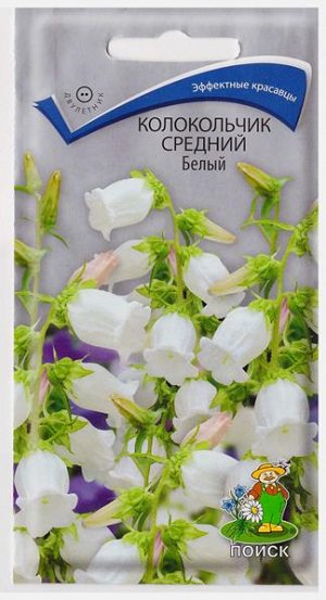 Колокольчик семена фото