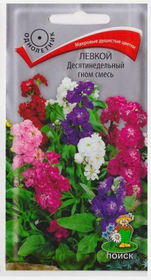 Левкой Десятинедельный гном (смесь) (Код: 65545)