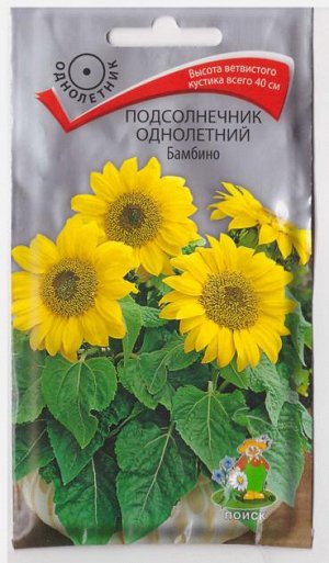 Подсолнечник Бамбино (Код: 66918)