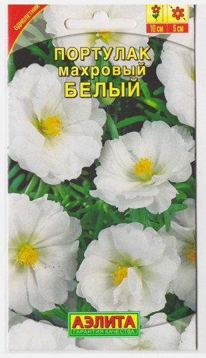Портулак Махровый Белый (Код: 6704)