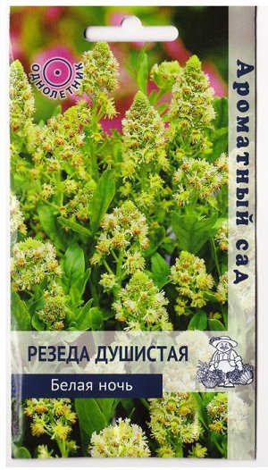Резеда белая