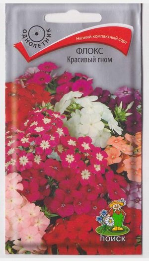 Флокс Красивый гном (Код: 65738)