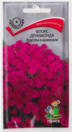 Флокс Красотка в малиновом (Код: 65741)