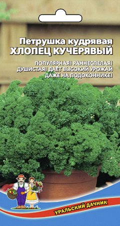 ПЕТРУШКА КУДРЯВАЯ ХЛОПЕЦ КУЧЕРЯВЫЙ
Petroselinum crispum