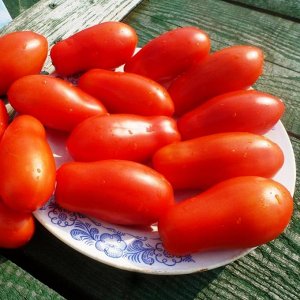 Помидом Помидоры Fingers of Naples — Дамские Пальчики из Неаполя