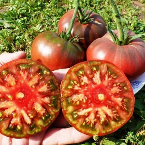 Помидоры – Фермерский Чёрный