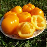 Экзотическая Комната