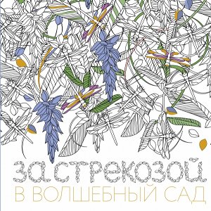 За стрекозой в волшебный сад.