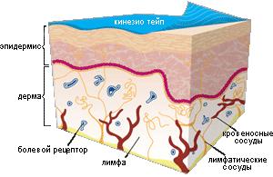 Кинезио тейп 3,8 см