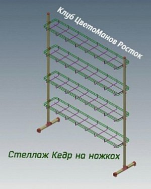 Кедр на ножках 64