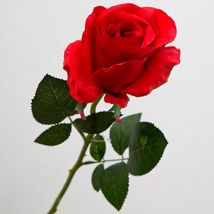 Изделие декоративное "Роза" 56см 3цвета И2-014