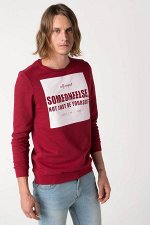 Sweat Shirt