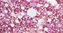 Нежный розовый/Delicate Pink Лак для ногтей &quot;Кружева&quot;