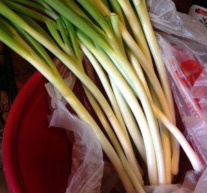 Лук На Зелень — Spring Onion