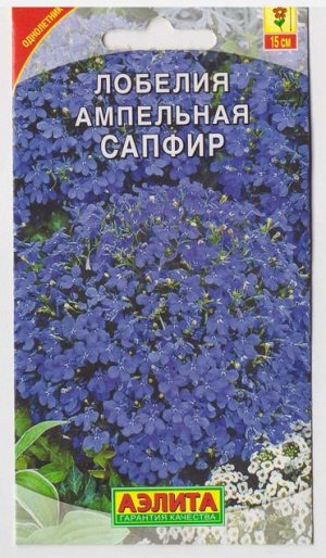 Лобелия Сапфир (Код: 12973)