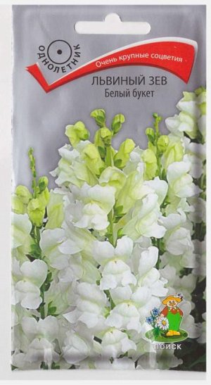 Львиный зев Белый букет (Код: 66898)