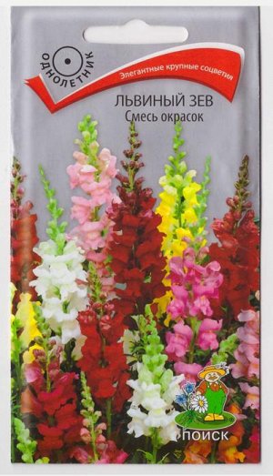 Львиный зев смесь окрасок (Код: 66908)