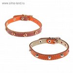 Ошейник кожаный с подкладом, 37 х 1,4 см, украшенный (микс видов и цветов)